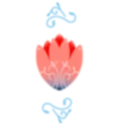 1FB2D1C9-B5AE-44BB-9963-79087A42676A.png